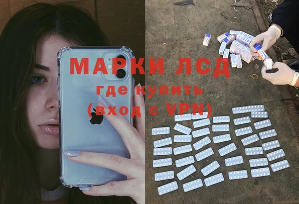 прущие грибы Алзамай