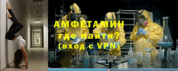 эйфоретик Гусь-Хрустальный