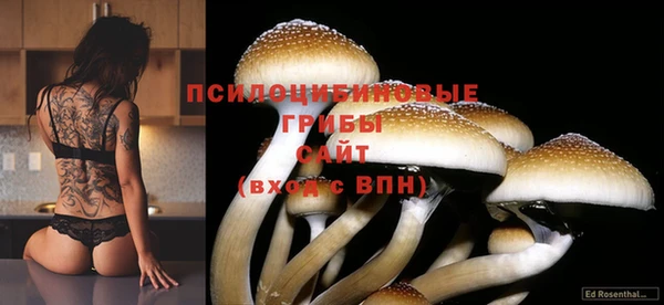 mix Алексеевка