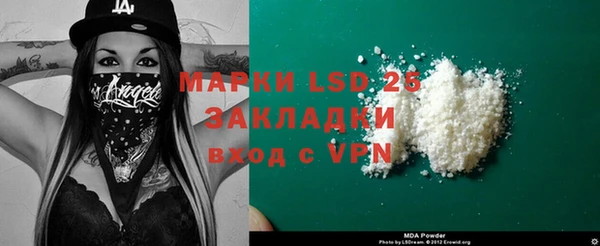 прущие грибы Алзамай