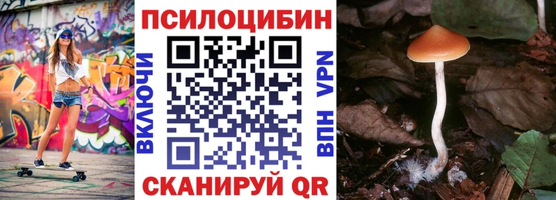 продажа наркотиков Лобня hydra маркетплейс Псилоцибиновые грибы Cubensis