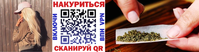 Бошки Шишки планчик Лобня
